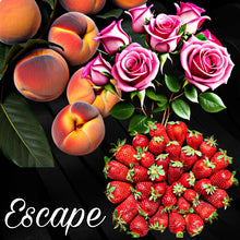 Load image into Gallery viewer, Car Freshener & Reed Diffuser Bundle