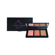 Load image into Gallery viewer, Pro Cheek Palette.png